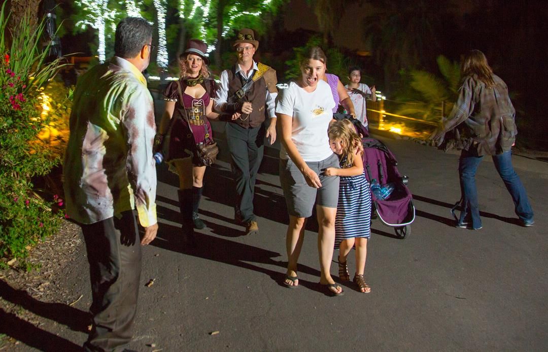 Phoenix Zoo gets spooky this weekend for Halloween Arizona's Family