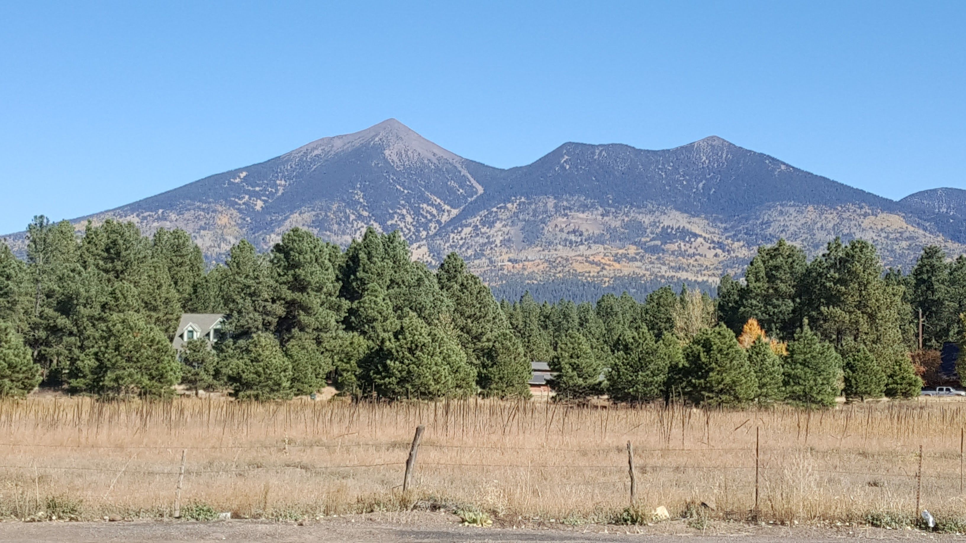Dry winter could stress Arizona's ponderosa pines