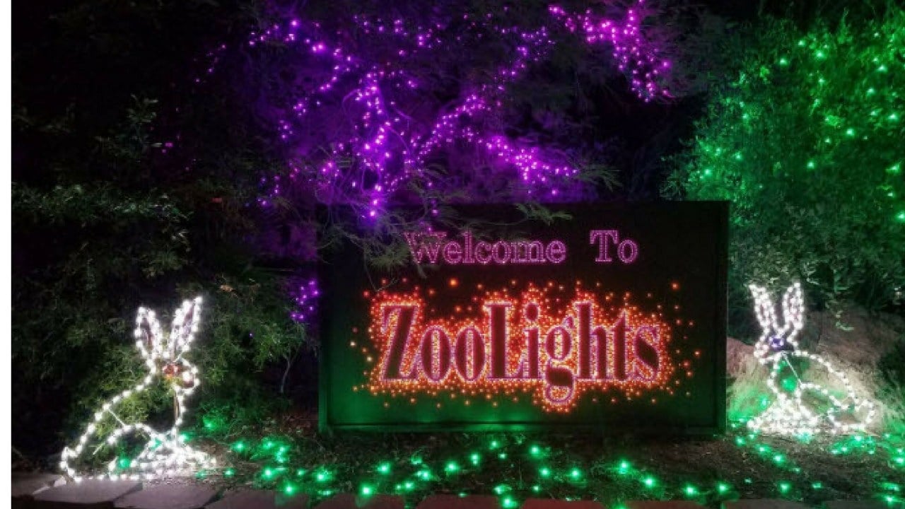 phoenix zoo lights promo code