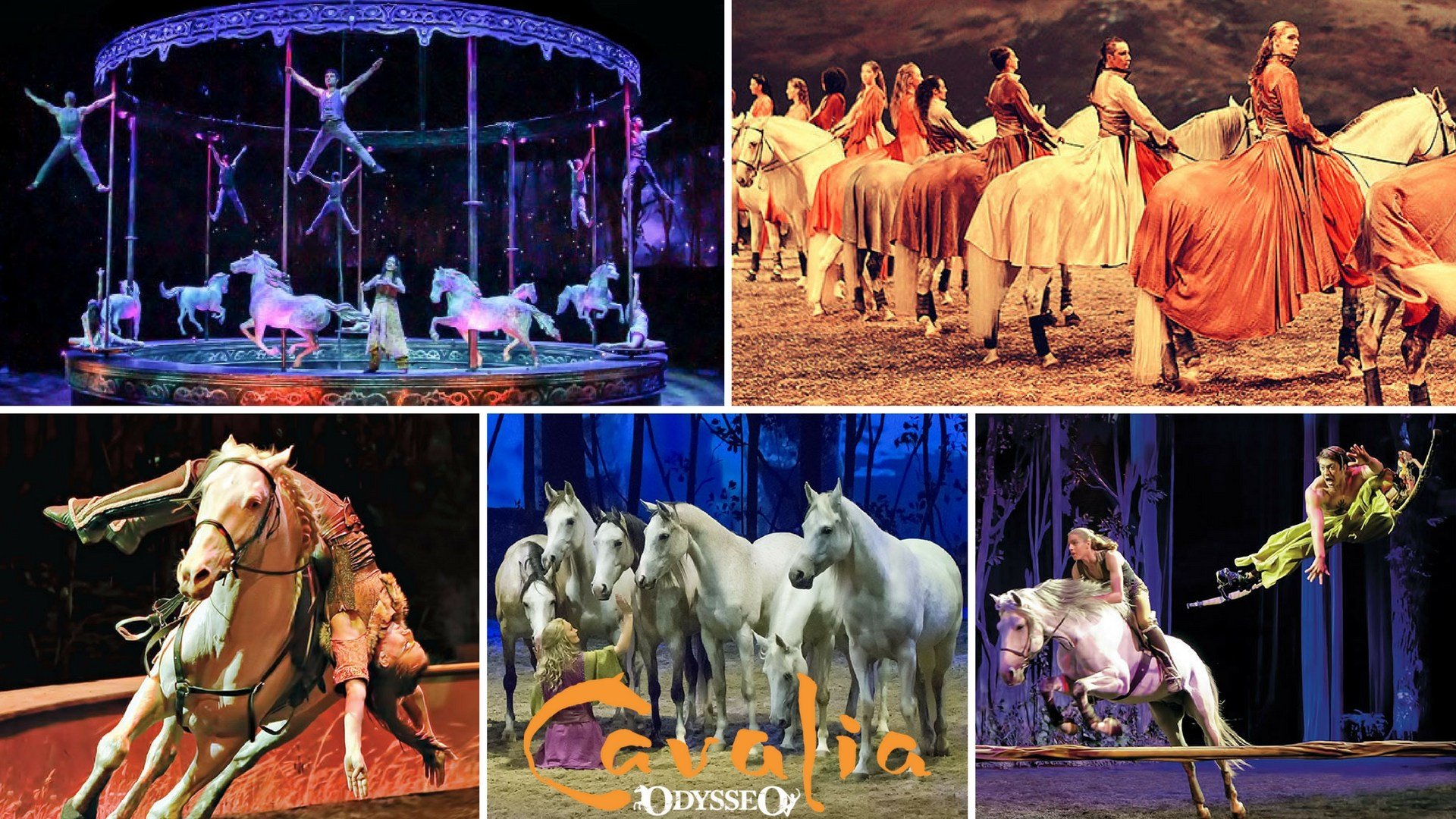 Cavalia horse show returns to Scottsdale Arizona's Family