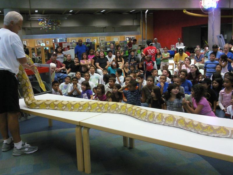 Predator Reptile Expo invites guests to take a walk on the wild
