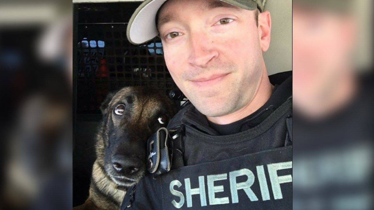 Those eyes! Tarzan and his handler. (Source: MCSO)