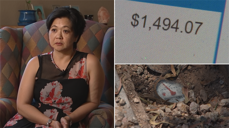 Stephanie Cornelius can't believe she got a water bill for nearly $1,500. (Source: 3TV/CBS 5)