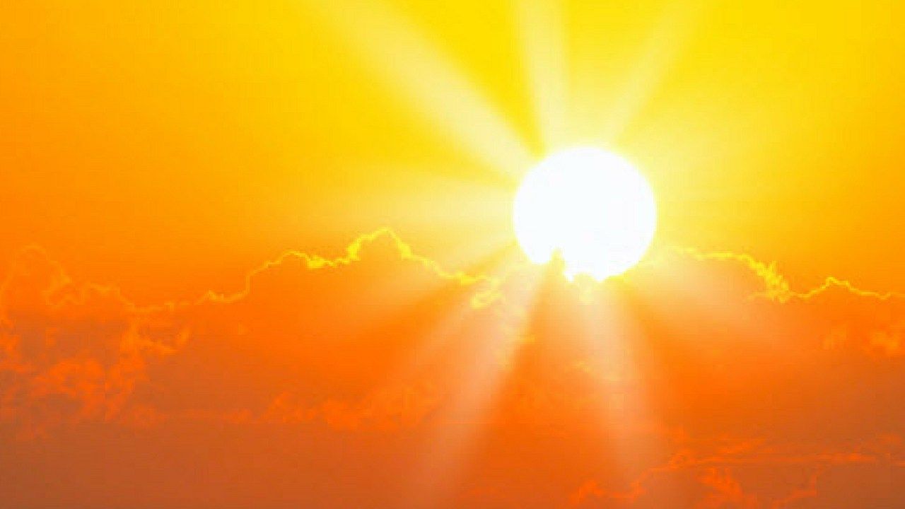 Kelly c51 9 51 keygen crack