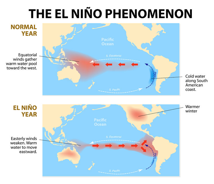 El Nino Years