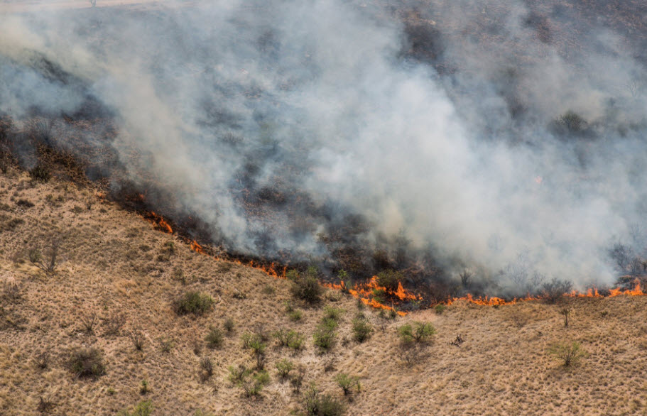 'Sawmill' wildfire in southern Arizona 20% contained, still at 4 - 3TV ...