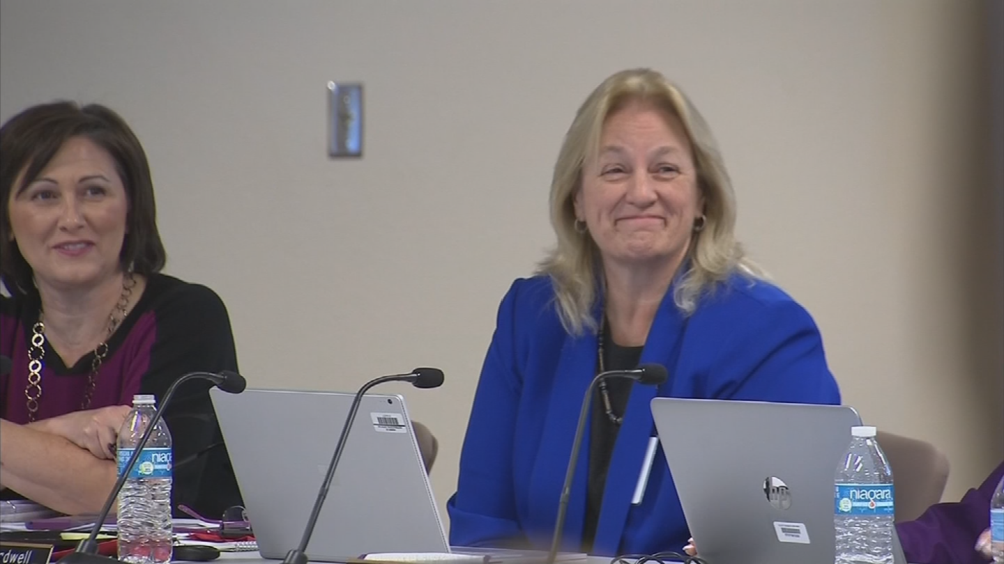 Portrait professional activation token